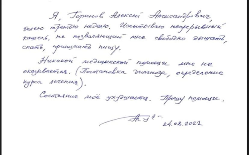 Фото: телеграм-канал «Свободу Алексею Горинову!»